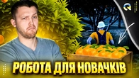 КРАЩА РОБОТА ДЛЯ НОВАЧКА в QUANT RP!
