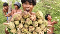Rainforest Sweet Delights: Primitive Boy's Sweetsop Picking & Sugar Apple Feast!