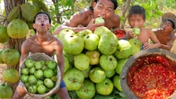 Discover the Art of Harvesting and Enjoying Delicious Guava - A Primitive Technology Guide