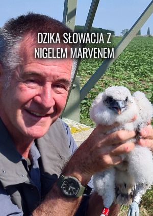Dzika Słowacja z Nigelem Marvenem — plakat