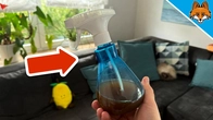 The BEST Solution against Mosquitoes(But almost no one knows about it)