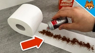 Put Cinnamon on Toilet Paper and you will THANK ME FOREVER(surprisingly)