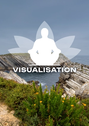 Visualisation
