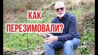Серія 604