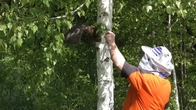 Серія 107