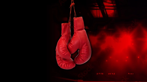 Boxing Mates