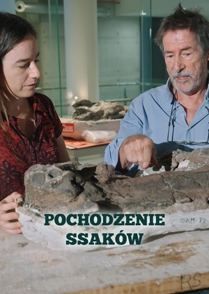 Pochodzenie ssaków