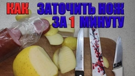 Серія 161