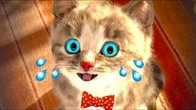 Little Kitten Adventure New Cat House Best Episodes Pet Educational Video for Toddlers & Kids