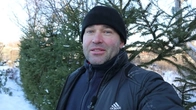 Что с изгородью из ели.