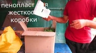 История одной посылки.