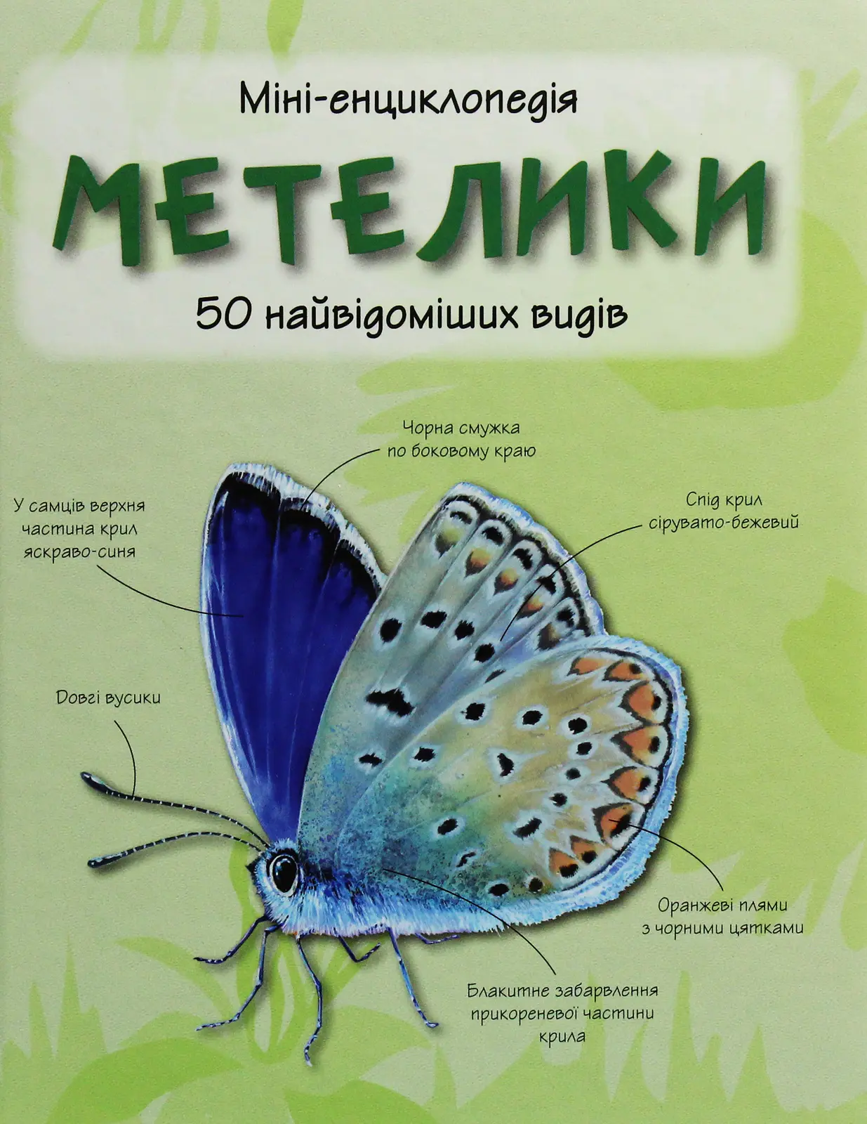 Метелики. Міні-енциклопедія
