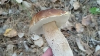 ПОТІМ НЕ ДИВУЙТЕСЯ ЧОМУ ТАК