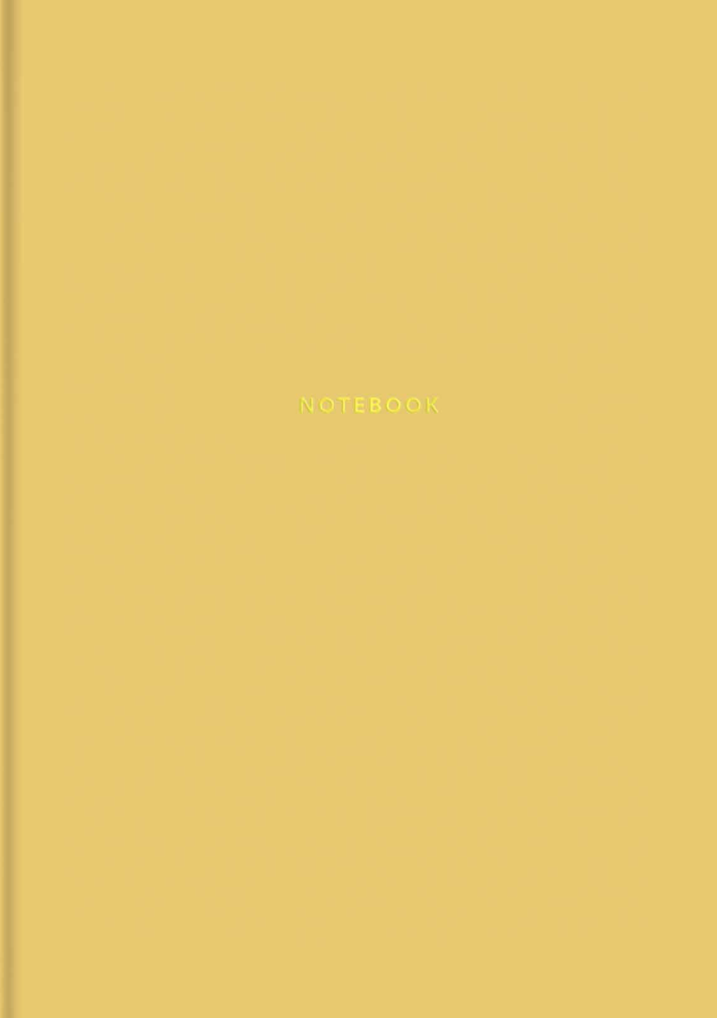 Зошит для записів у лінію "Notebook"