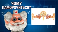 Лікар Лікарчук | Чому паморочиться в голові