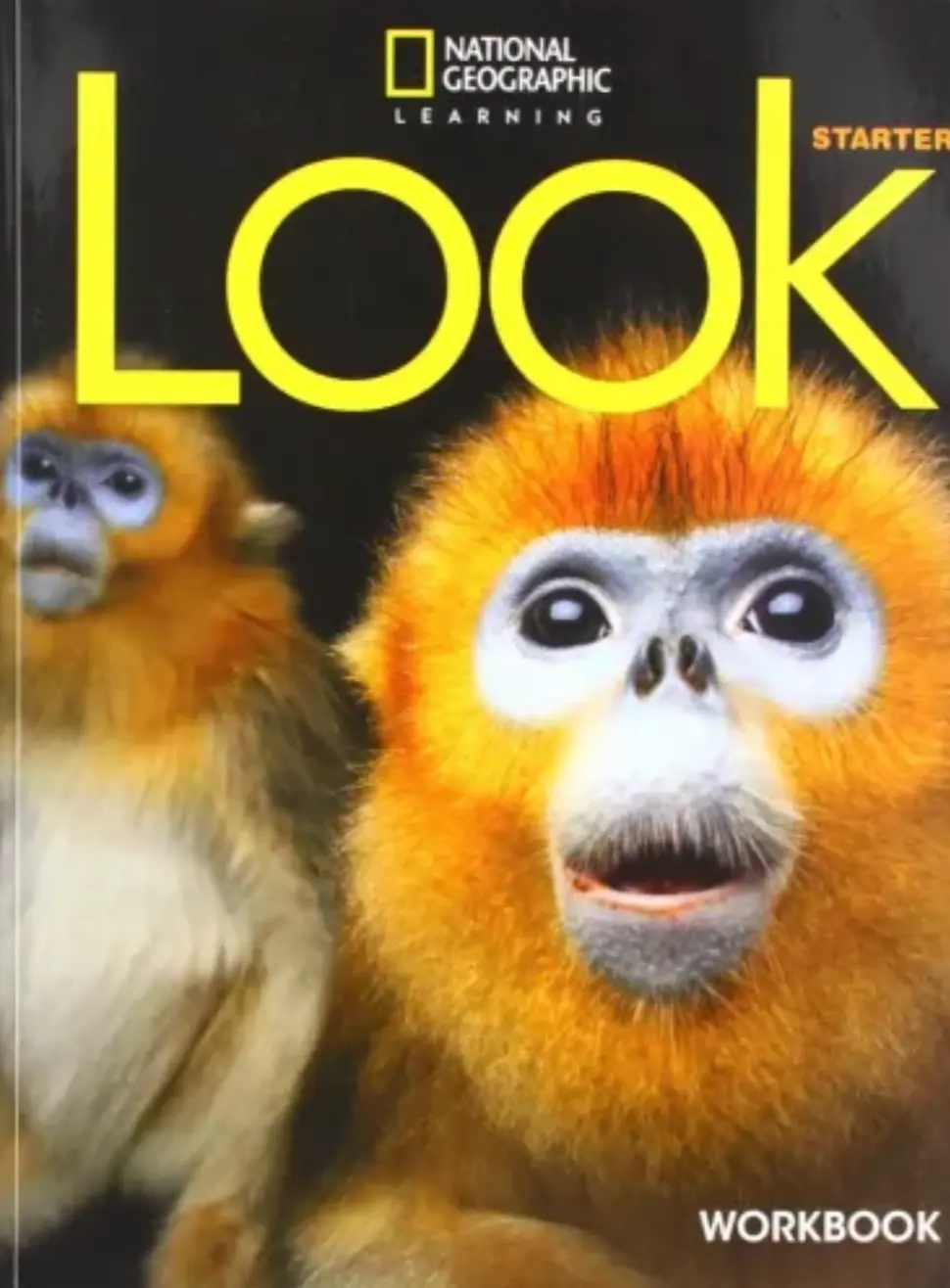 Look Starter WB British English