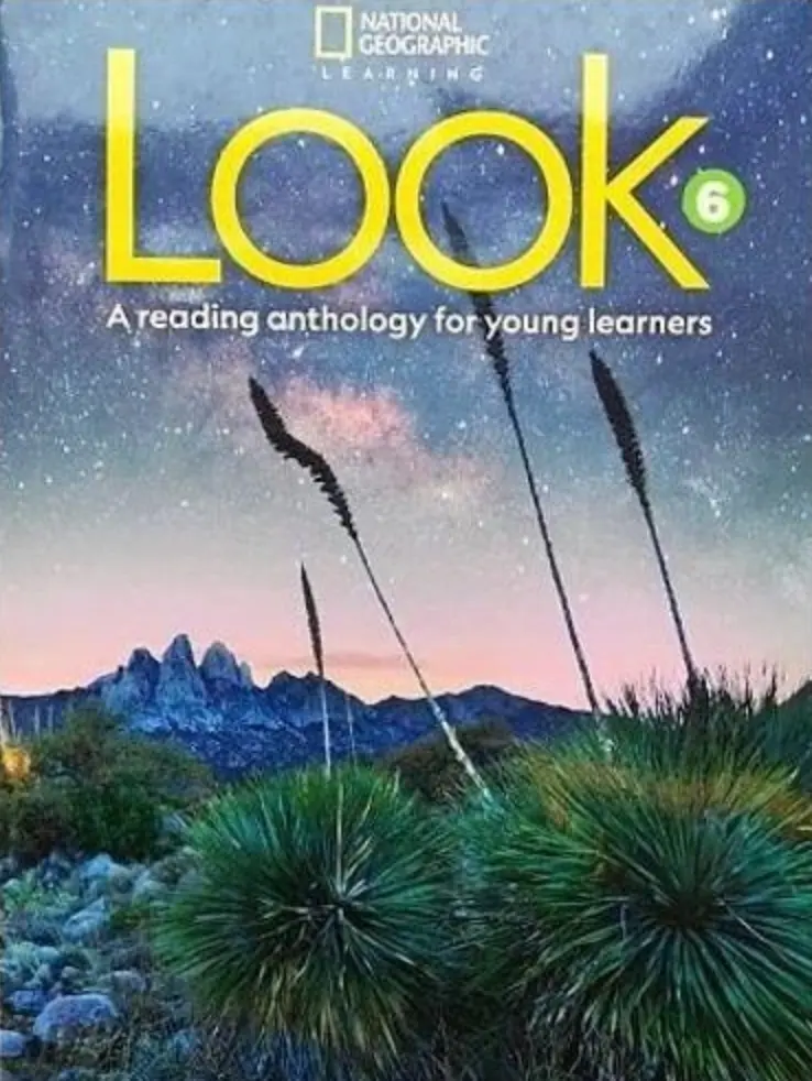 Look 6 Reading Anthology British English