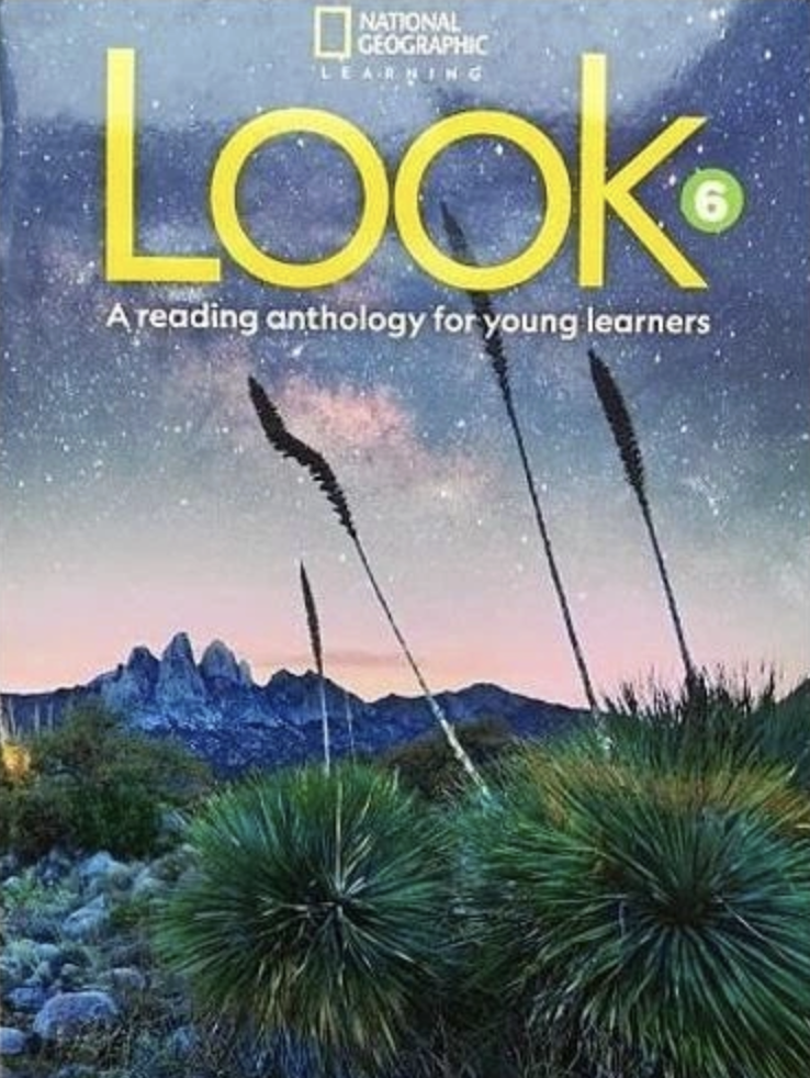 Look 6 Reading Anthology British English