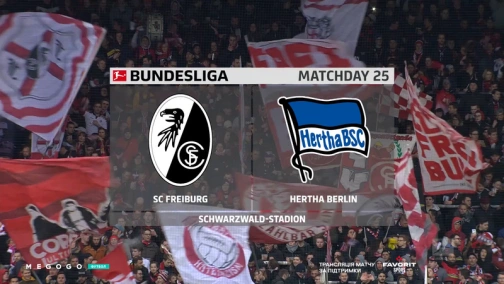 25 тур. Фрайбург — Герта 2:1. Огляд матчу