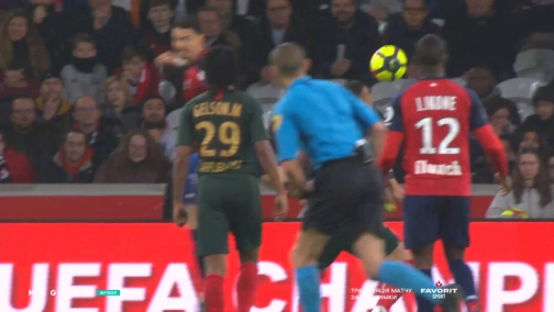 29 тур. Лілль — Монако 0:1. Огляд матчу