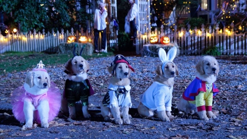 Мистическая пятерка