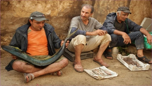 When Pigs Have Wings