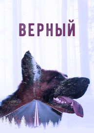 Верный