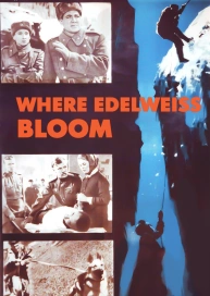 Where Edelweiss Bloom