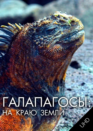 Галапагосы: На краю земли UHD