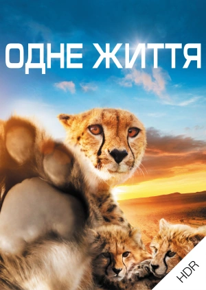 Одне життя UHD HDR