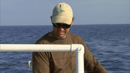 Alien Sharks: Greatest Hits