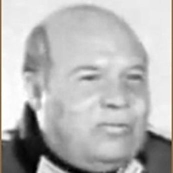 Vladimir Lapin