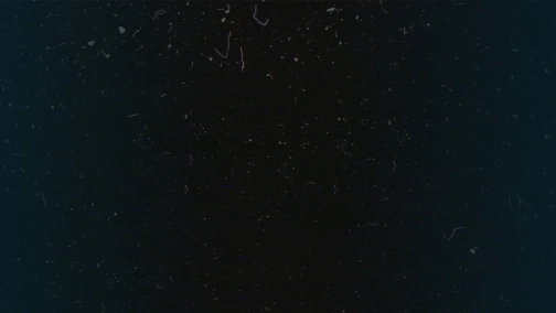 Трансляция: Spirit vs Gambit