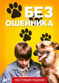 Без ошейника (жестовым языком)