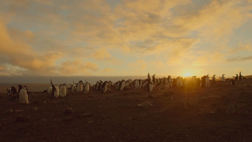 Земля: Один приголомшливий день