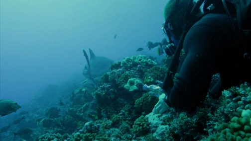 Серия 5. Чёртов остров