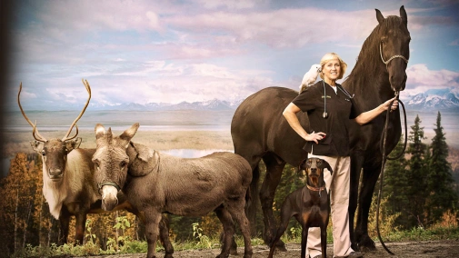 Доктор Ди: ветеринар Аляски