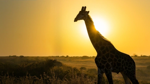 Выживание в дикой природе