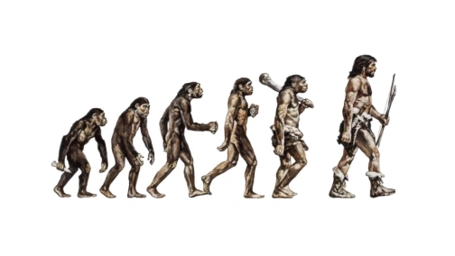 Средства гармонизации композиции