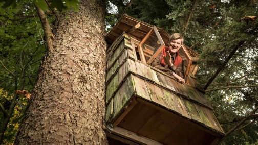 Серия 4. Удивительный улей