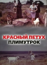 Красный петух плимутрок