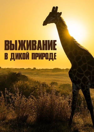 Выживание в дикой природе