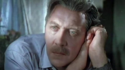 Мечты сбываются