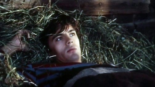 Дом на дюнах