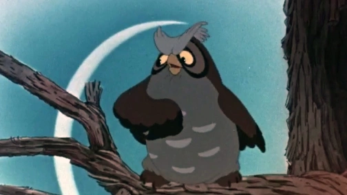 Это что за птица?