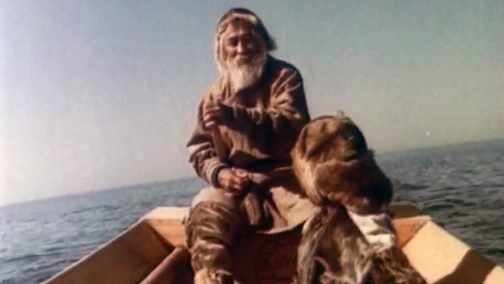 Пегий пес, бегущий краем моря