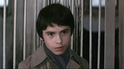 Найкрасивіший кінь