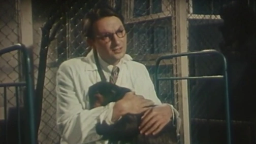 Она вас любит