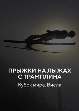 Прыжки на лыжах с трамплина. Кубок мира. Висла
