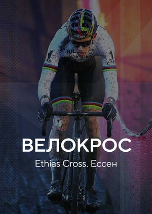 Велокрос. Ethias Cross. Ессен